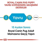Royal Canin Pug 25 Pug Junior Yavru Köpek Maması 1,5 Kg - 3