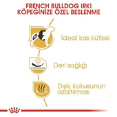 Royal Canin French Bulldog Yetişkin Köpek Maması 3 Kg - 3
