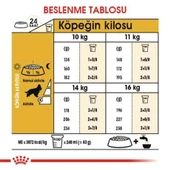 Royal Canin Cocker Irkına Özel Köpek Maması 3 Kg - 5