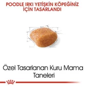 Royal Canin Poodle Adult Yetişkin Köpek Maması 3 Kg - 6