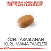 Royal Canin Maltese Bichon Maltais Köpek Maması 1.5 Kg - 6