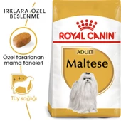 Royal Canin Maltese Bichon Maltais Köpek Maması 1.5 Kg - 4