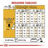 Royal Canin Poodle Adult Yetişkin Köpek Maması 3 Kg - 4