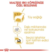 Royal Canin Maltese Bichon Maltais Köpek Maması 1.5 Kg - 3