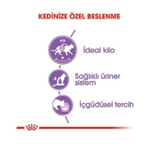 Royal Canin Sterilised Gravy Yaş Kedi Maması 85 gr thumbnail 4