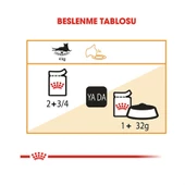 Royal Canin İntense Beauty Jelly Yetişkin Kedi Konservesi Pouch 85 gr thumbnail 4