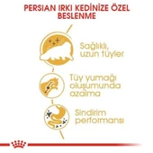 Royal Canin Pouch Persian İran Kedilerine Özel Yaş Maması 85 Gr thumbnail 2