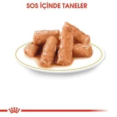 Royal Canin British Shorthair Irkına Özel Yaş Kedi Maması 85 Gr thumbnail 3