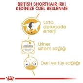 Royal Canin British Shorthair Irkına Özel Yaş Kedi Maması 85 Gr thumbnail 5