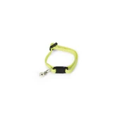 Beeztees Yavru Kedi Tasması 23 Cm Sarı - 1