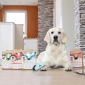 8in1 Perfect Coat DeShedder Furminator Büyük Irk Köpek Tarağı Large - 5