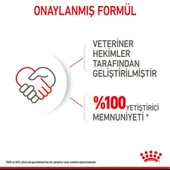Royal Canin Starter Mousse Anne ve Yavruları İçin Köpek Konservesi 195 Gr - 10