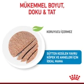Royal Canin Starter Mousse Anne ve Yavruları İçin Köpek Konservesi 195 Gr - 5