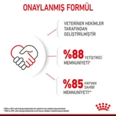 Royal Canin Mini Puppy Köpek Konservesi 85 gr - 10