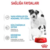 Royal Canin Starter Mousse Anne ve Yavruları İçin Köpek Konservesi 195 Gr - 6