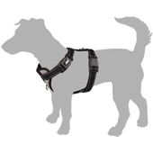 Flamingo Milou Köpek Göğüs Tasması S (30-45 cm) Yeşil - 3
