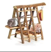 Karlıe Ahşap Kemirgen Tırmanma 29X19X23Cm - 1