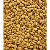 Versele Laga Nutribird P15 Original 10kg - 2