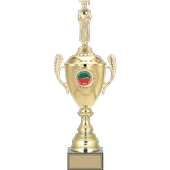 ODAK KUPA - Figürlü Kupalar - Mezuniyet Erkek Figürlü Kupalar FG-080 B - 49 cm - 1