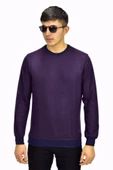 Erkek Spor Sıfır Yaka Sweatshirt R2270 BGL-ST03187 thumbnail 4