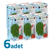 Matcha Premium Japanese Maça Çayı Çilekli Orijinal Bandrollu 20Ad X 6Kutu - 1