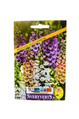 Digitalis Çiçeği Tohum - 1