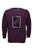 Erkek Baskılı Spor Sıfır Yaka Sweatshirt R2202 BGL-ST03189 - 5