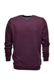 Erkek Spor Sıfır Yaka Sweatshirt R2247 BGL-ST03188 thumbnail 10