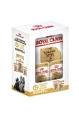 Royal Canin® Yorkshire Terier Yetişkin Köpek Maması 1,5 Kg + 2 Adet Yaş Mama Hediyeli - 1