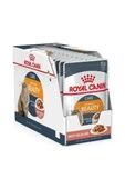 Royal Canin® Hair & Skin Care Yetişkin Kedi Yaş Maması 85 Gr *12 - 1