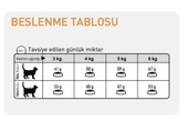 Royal Canin® Hair & Skin Care Yetişkin Kedi Maması 2 Kg - 3