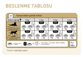 Royal Canin® Persian Yetişkin Kedi Maması 4 Kg - 3