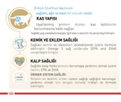 Royal Canin® British Shorthair Yetişkin Kedi Maması 4 Kg - 2