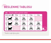 Royal Canin® Savour Exigent Seçici Kedilere Özel Yetişkin Kedi Maması 4 Kg - 3