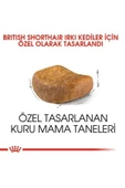 Royal Canin® British Shorthair Yetişkin Kedi Maması 2 Kg - 2
