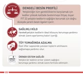 Royal Canin® Fit 32 Yetişkin Kedi Maması 15 Kg thumbnail 2