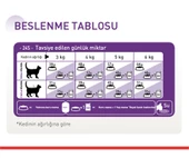 Royal Canin® Sensible 33 Hassas Sindirimi Destekleyici Yetişkin Kedi Maması 4 Kg thumbnail 3