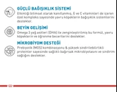 Royal Canin® Mini Puppy Yavru Köpek Maması 4 Kg - 2