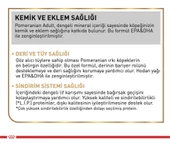 Royal Canin® Pomeranian Yetişkin Köpek Maması 1,5 Kg - 2