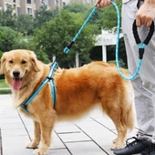 BUFFER® Reflektörlü Fosforlu Köpek Gezdirme Halatı Tasma Kayışı Metal Kancalı 130 cm - 2