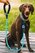 BUFFER® Reflektörlü Fosforlu Köpek Gezdirme Halatı Tasma Kayışı Metal Kancalı 130 cm - 10
