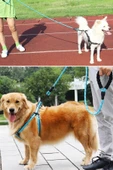 BUFFER® Reflektörlü Fosforlu Köpek Gezdirme Halatı Tasma Kayışı Metal Kancalı 130 cm - 7