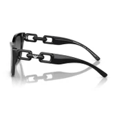 Emporio Armani 0EA4203U 50178G55 Asetat Kadın Güneş Gözlüğü thumbnail 2