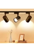 1 Metre Ray 3 Adet Ray Spot Set Siyah Kasa Günışığı Renk 20 W Dekoratif Spot - 1