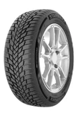 Starmaxx 205/55 R16 TL 91H Polarmaxx Kış Lastiği 2024 Üretim - 1