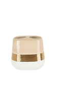 Primanova D-20452 Lucas Gold Diş Fırçalık - 1