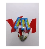 Pulsar Rs 200 Buji Seti_Supermoto thumbnail 1