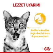Royal Canin Sensory Taste Pouch Yaş Kedi Maması 85 Gr thumbnail 4