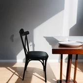 MODİLAYN 2'li SUNGUR Metal Siyah Tonet Sandalye - 2