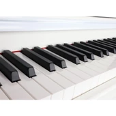 Jwin Sapphire SDP-215 Çekiç Aksiyonlu 88 Tuşlu Dijital Piyano - Beyaz - 2